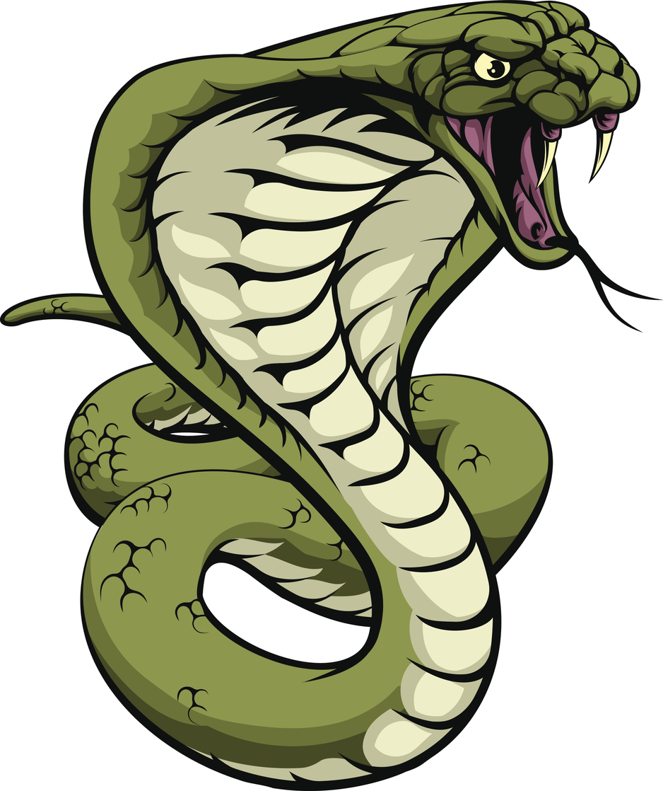 image of a cobra snake